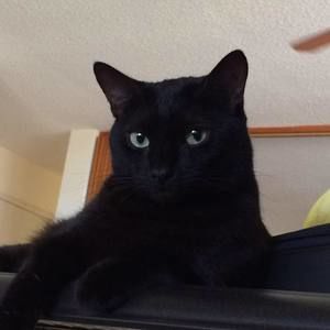 Meet your Posher, Rhea