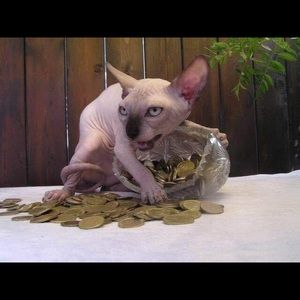 Meet your Posher, Johnny