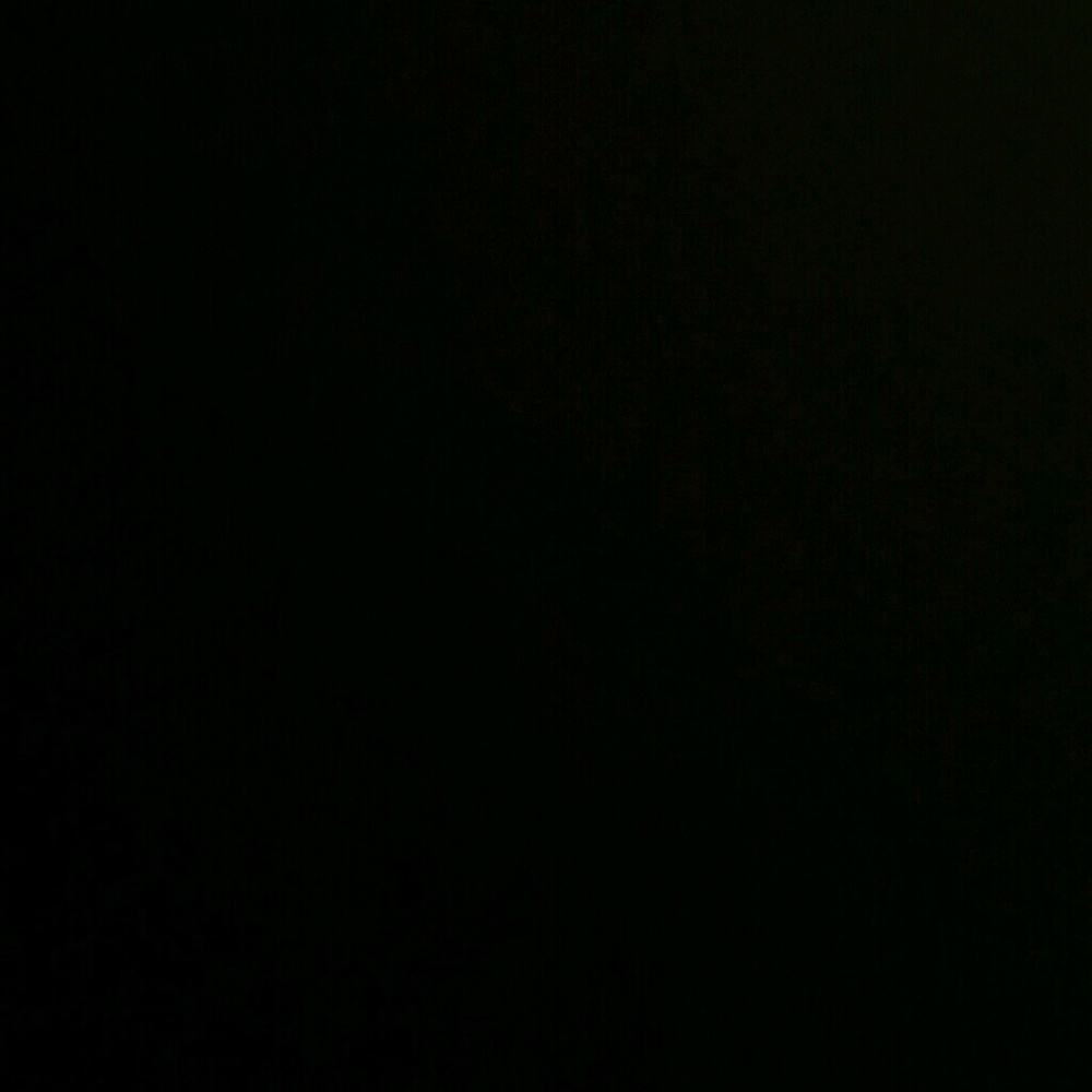 Meet your Posher, Virginia