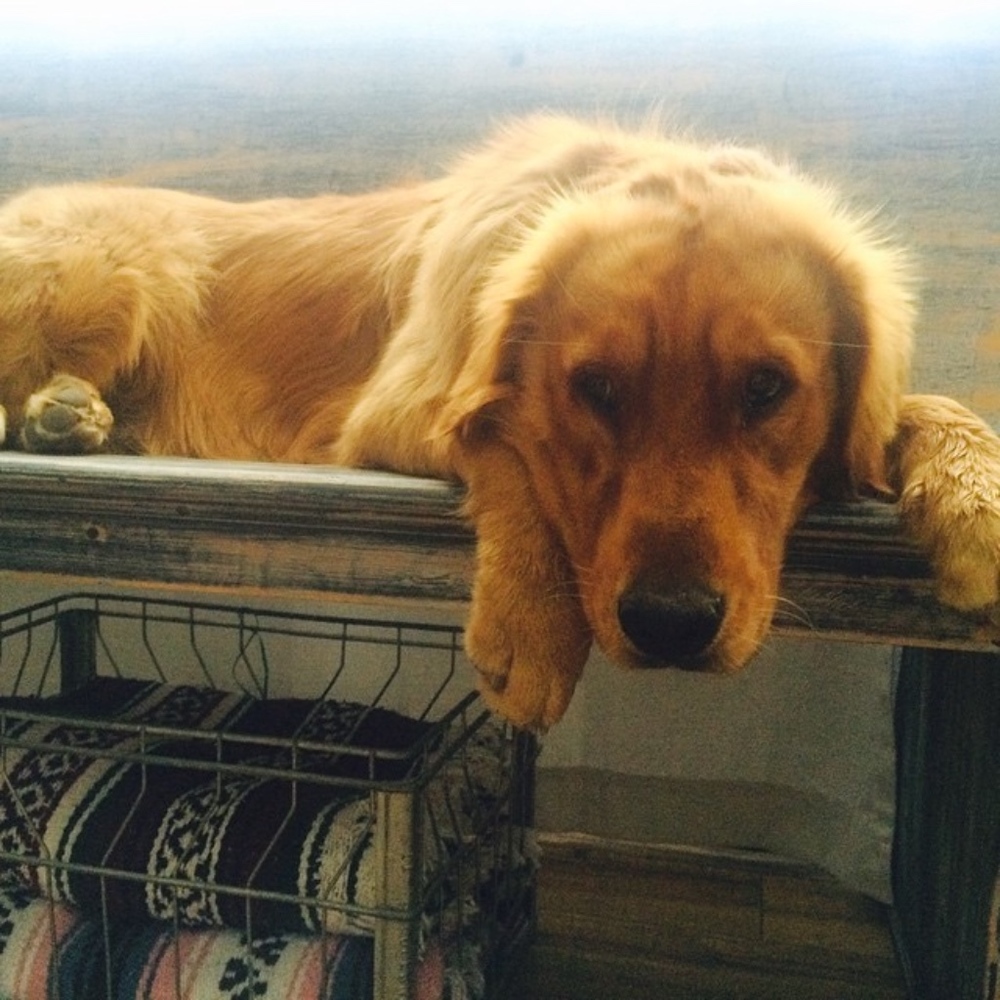 Meet your Posher, Melanie