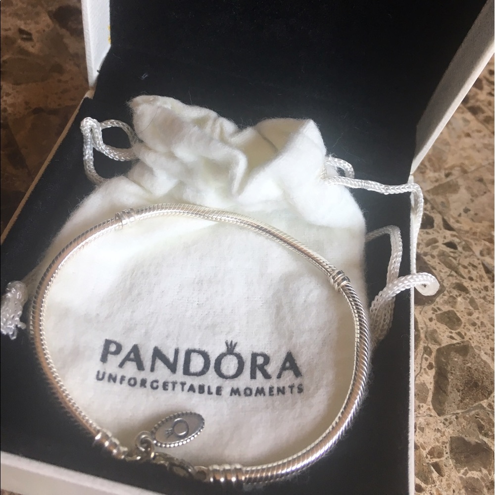💎 BRAND NEW NEVER USED Pandora Clasp Bracelet 💎