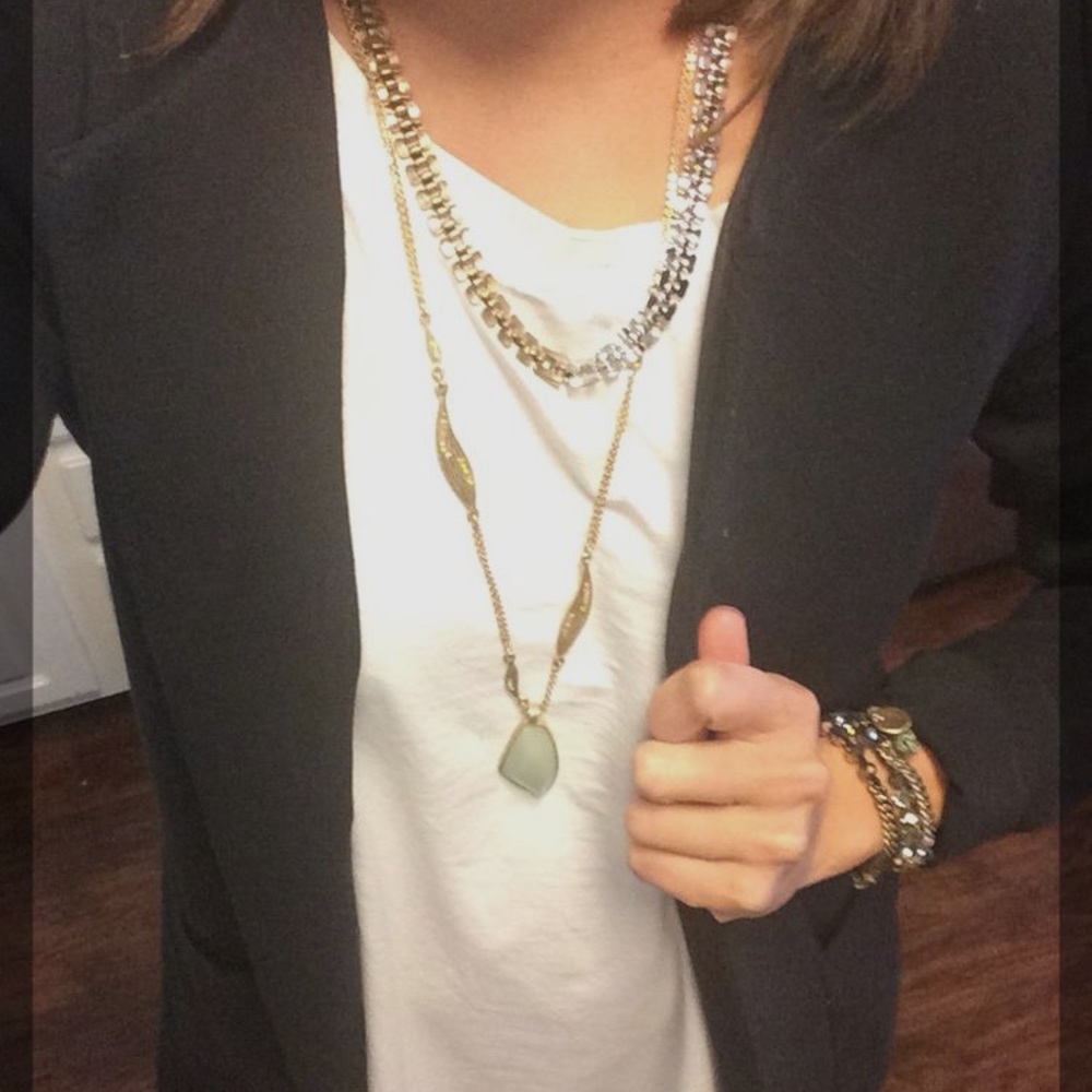 Gilded Reed chloe & isabel necklace