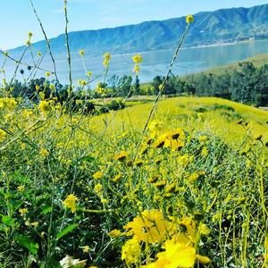 Meet your Posher, Rebeca