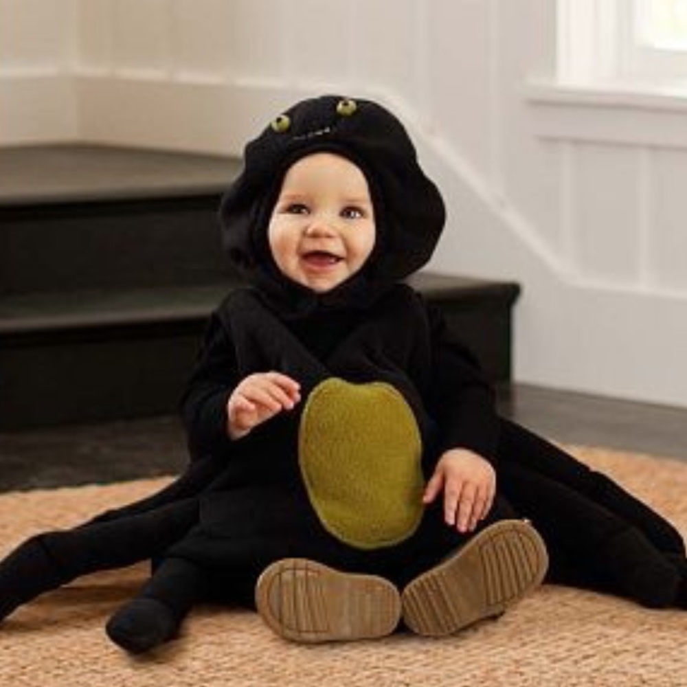 Pottery Barn Kids Spider Costume