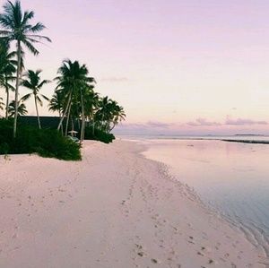 Meet your Posher, Lilly