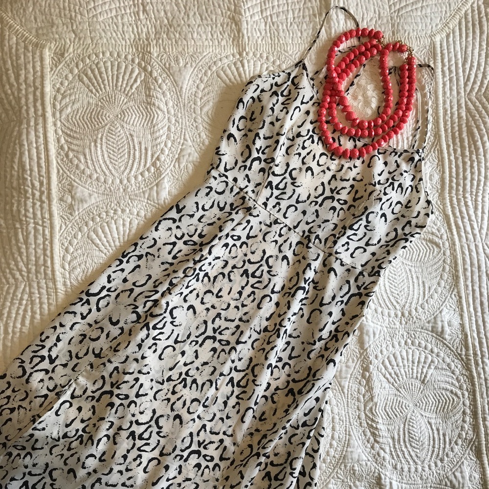 Sheer Leopard Print Maxi Dress