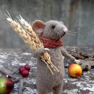 Meet your Posher, Ann-marie