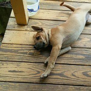 Meet your Posher, Barbara