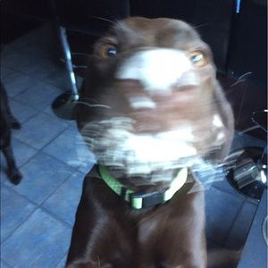 Meet your Posher, Kim