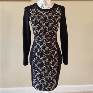 Club Monaco Dress