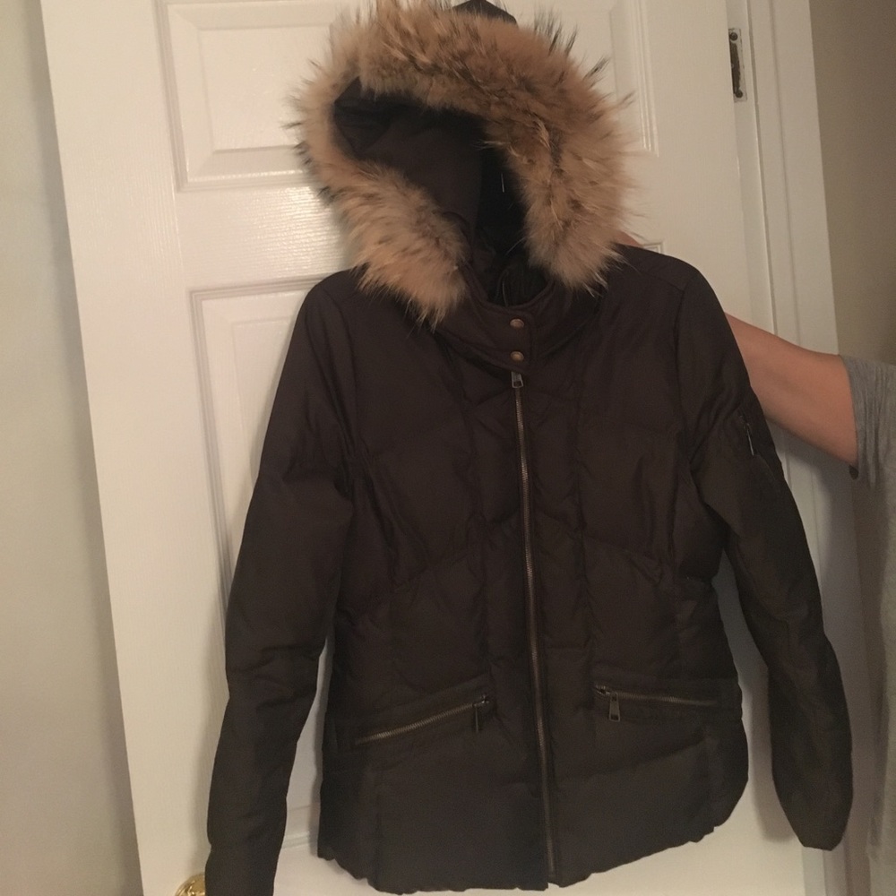 Andrew Marc chocolate brown jacket