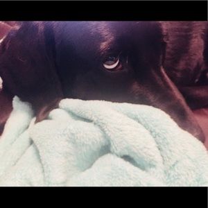 Meet your Posher, Avery