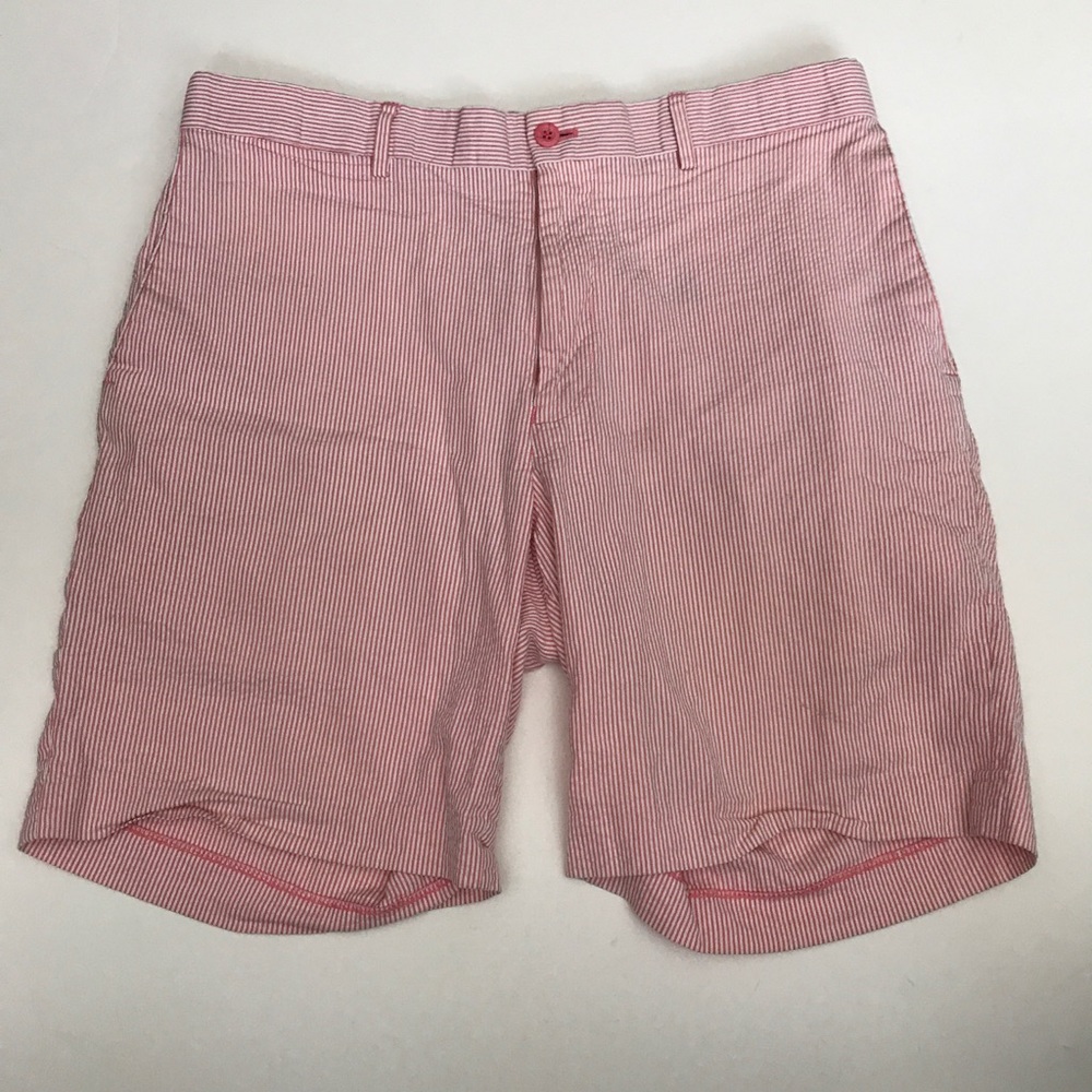 Louis Raphael Rosso Striped Casual Shorts Size 34