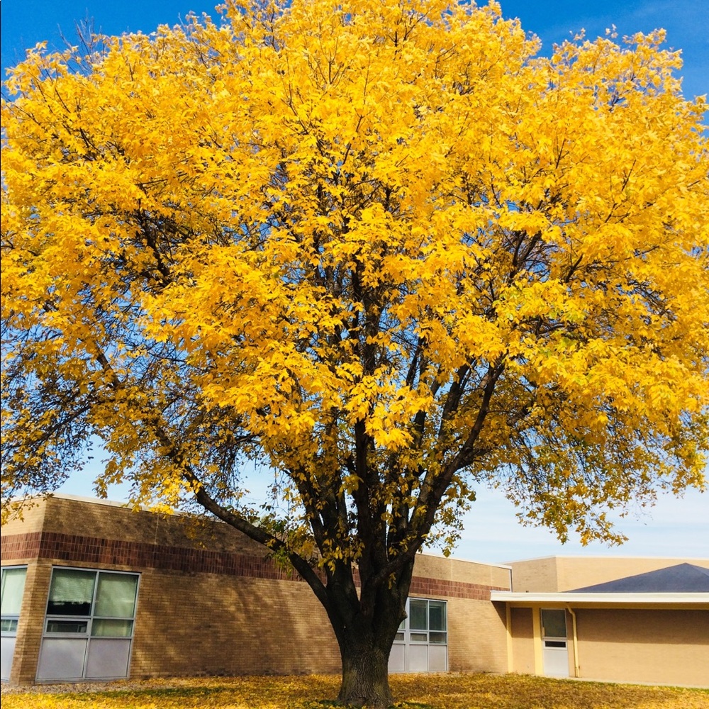 Meet your Posher, Robin
