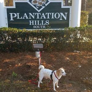 Meet your Posher, Melanie