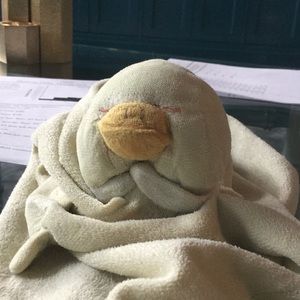 Meet your Posher, Jack