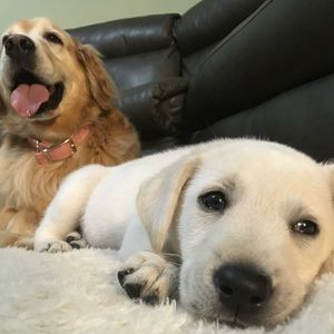 Meet your Posher, Cate