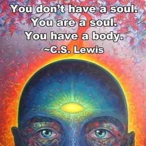 Meet your Posher, Livio