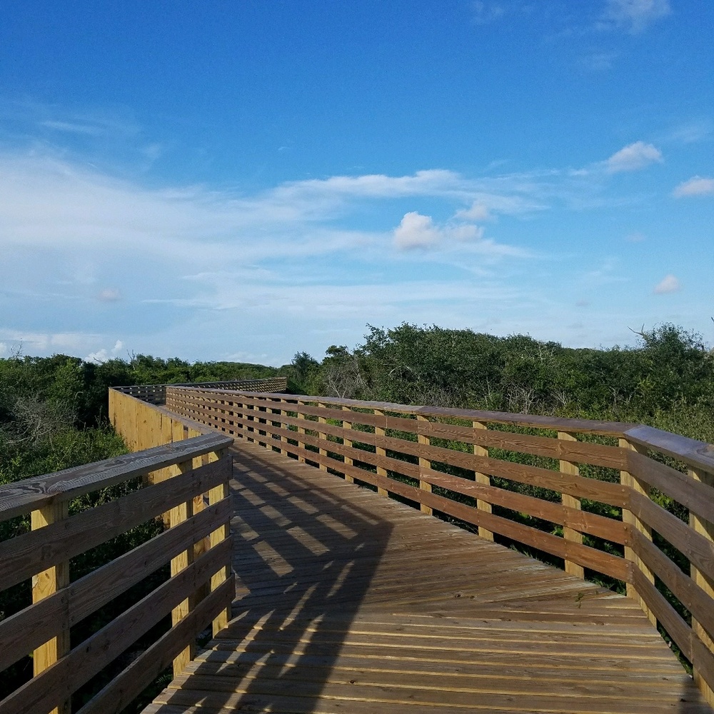 Meet your Posher, Monica