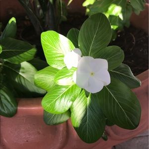 Meet your Posher, Cory