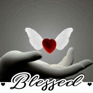 Meet your Posher, Lynette