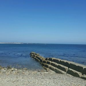 Meet your Posher, Norma