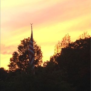 Meet your Posher, Michele