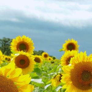 Meet your Posher, Mia