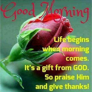 Meet your Posher, Keitheena