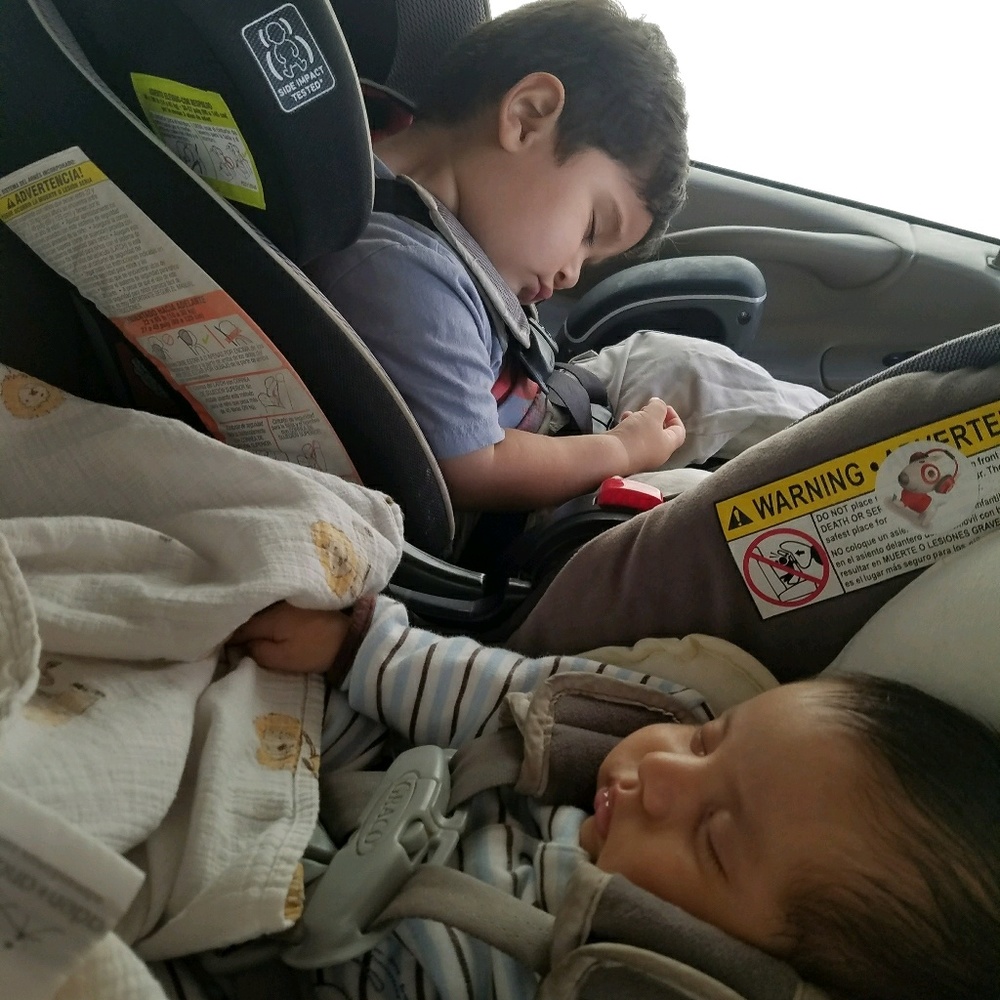 Meet your Posher, Dolores