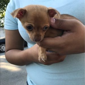 Meet your Posher, Angela