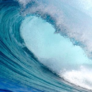 Meet your Posher, Shawn