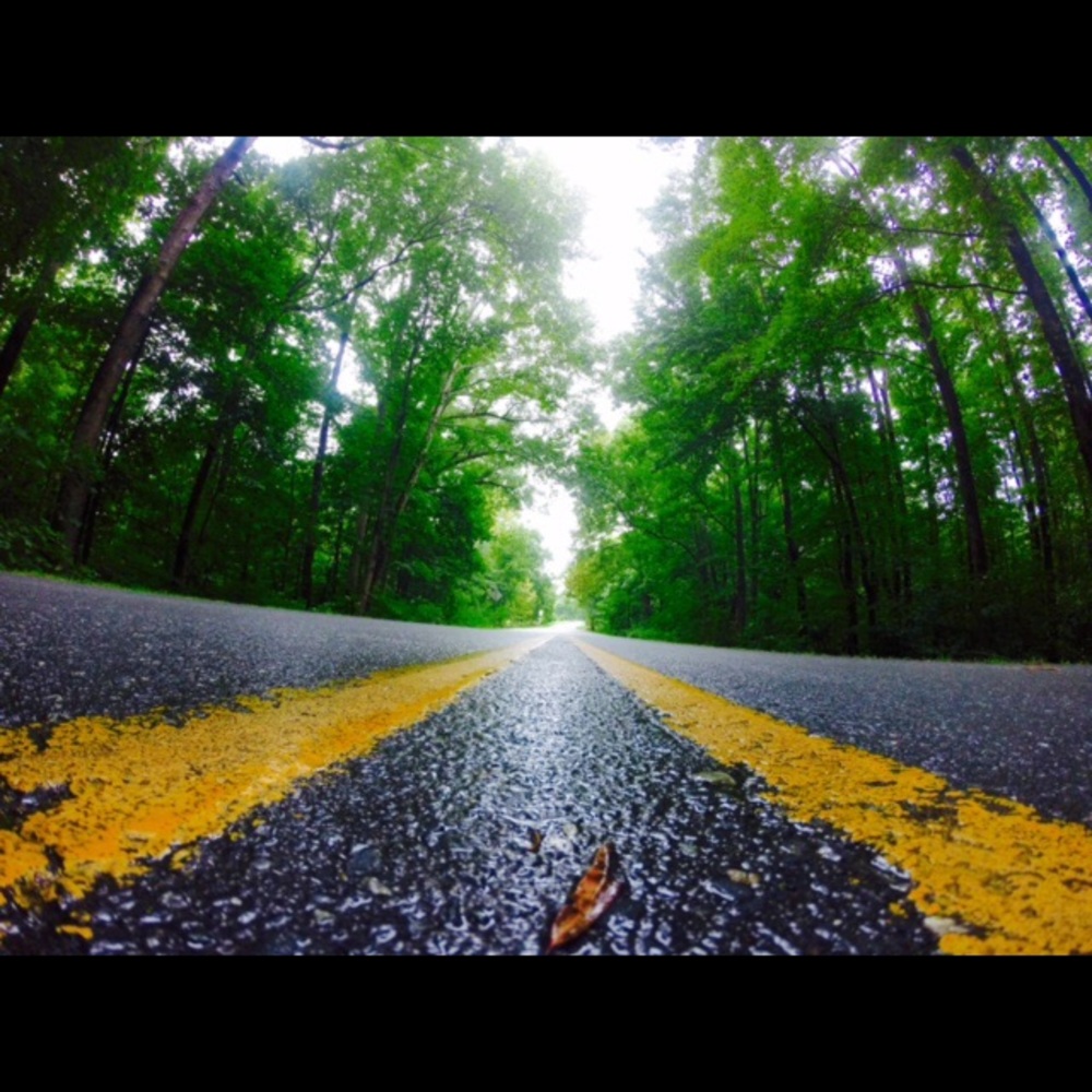 Meet your Posher, Donte