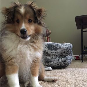 Meet your Posher, Olivia