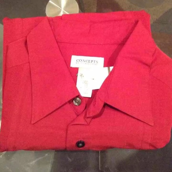 BUTTON DOWN SHIRT - Picture 2 of 3