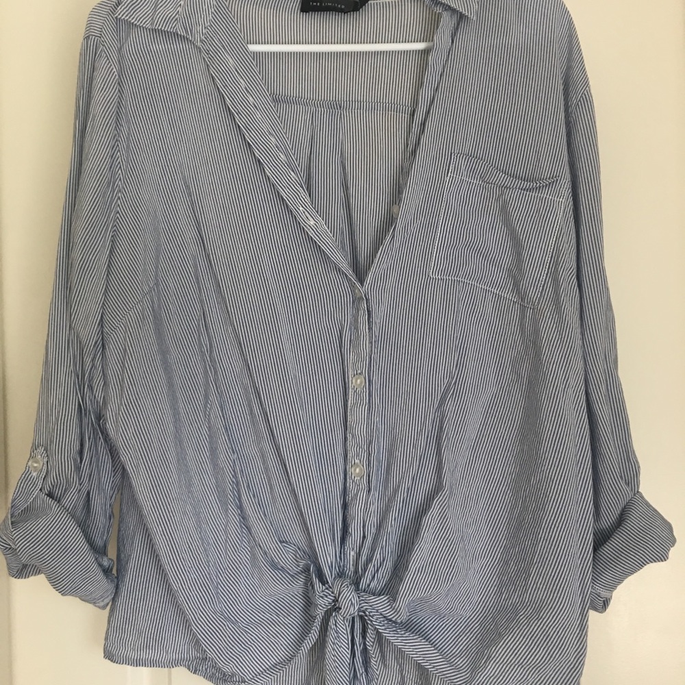 blue narrow striped button down the limited