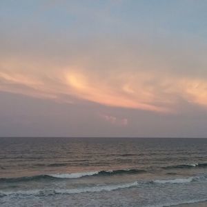 Meet your Posher, Chrissy