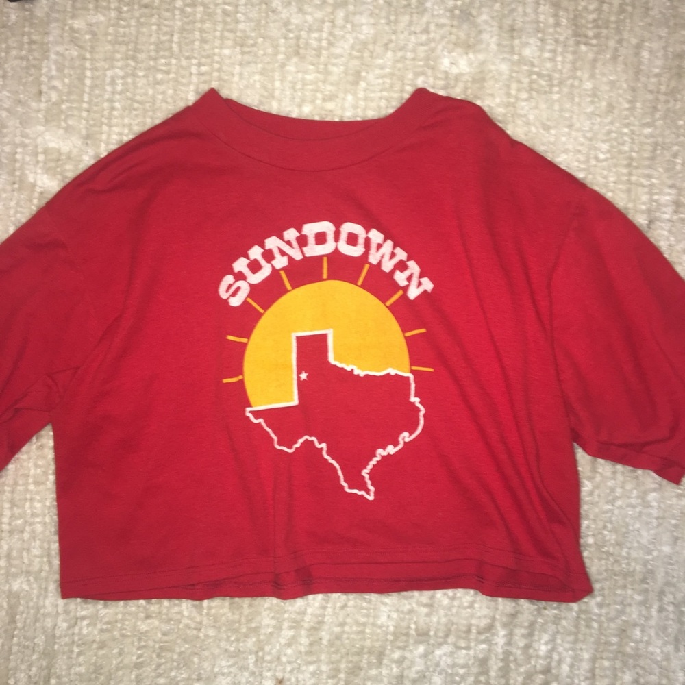 Vintage tee crop top