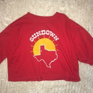 Vintage tee crop top