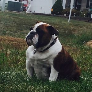 Meet your Posher, Collin