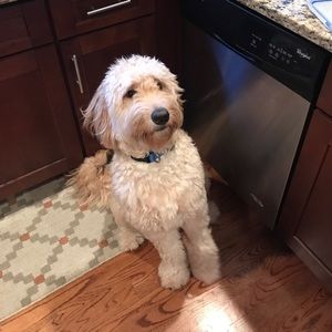 Meet your Posher, Kevin