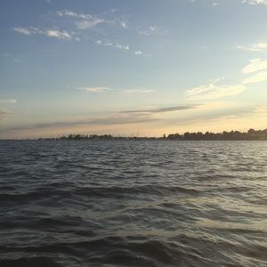 Meet your Posher, Peter