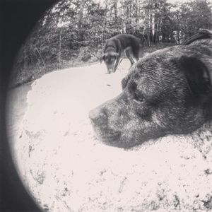 Meet your Posher, Matthew