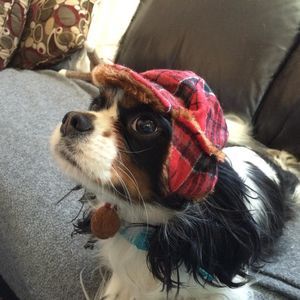 Meet your Posher, Cara