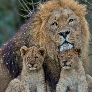 Meet your Posher, Ethel