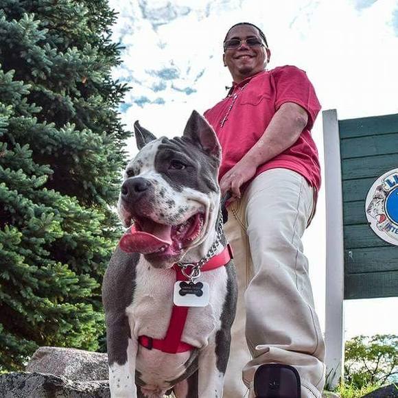 Meet your Posher, Pedro - Picture 1 of 1