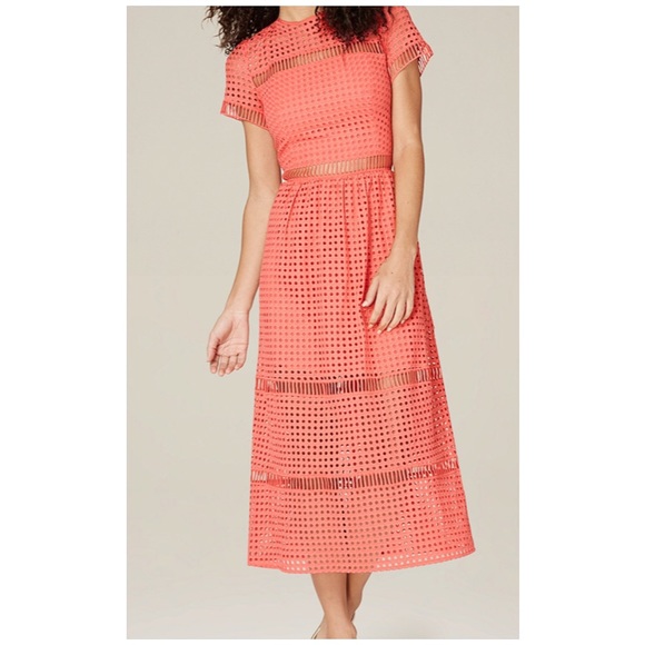 bebe dresses 2019