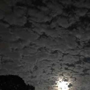 Meet your Posher, Caine