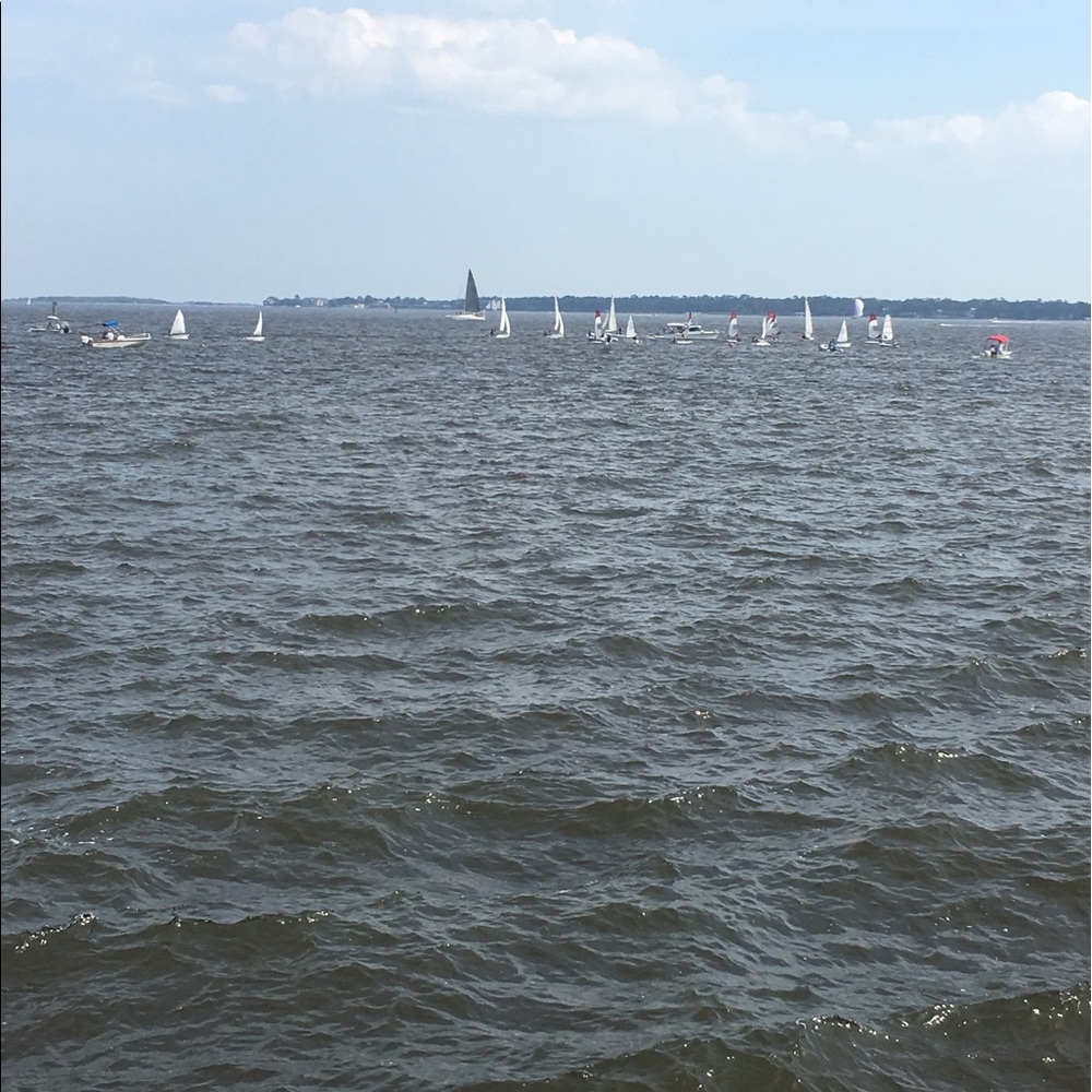 Meet your Posher, Sherry