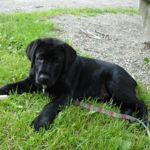 Meet your Posher, Philip